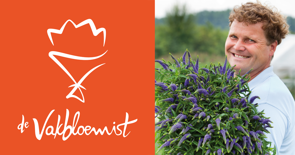 Van Der Plas Flowers Plants Informatie De Vakbloemist Van der plas flowers plants informatie de vakbloemist